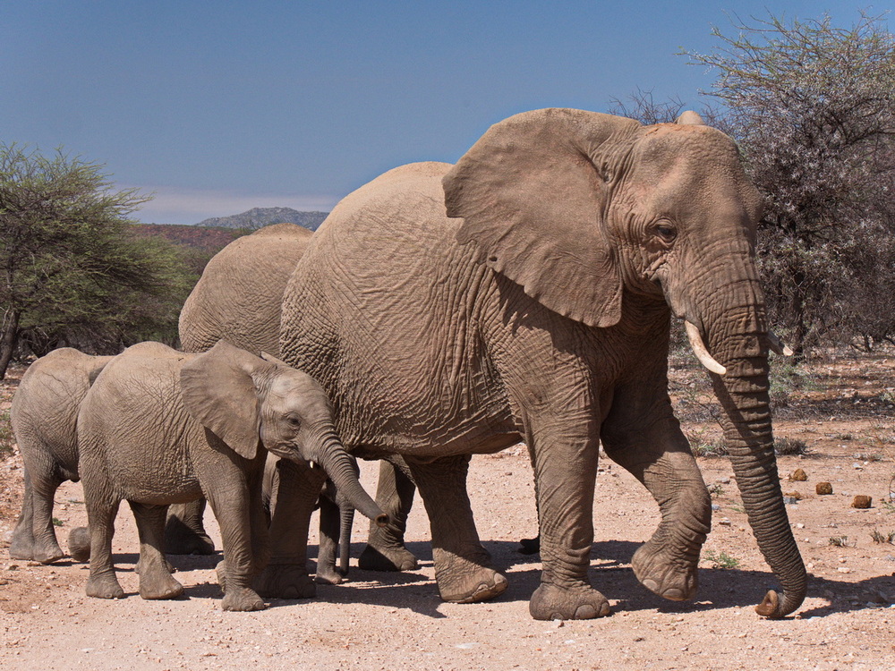 Reisebericht und Fotos von Namibia